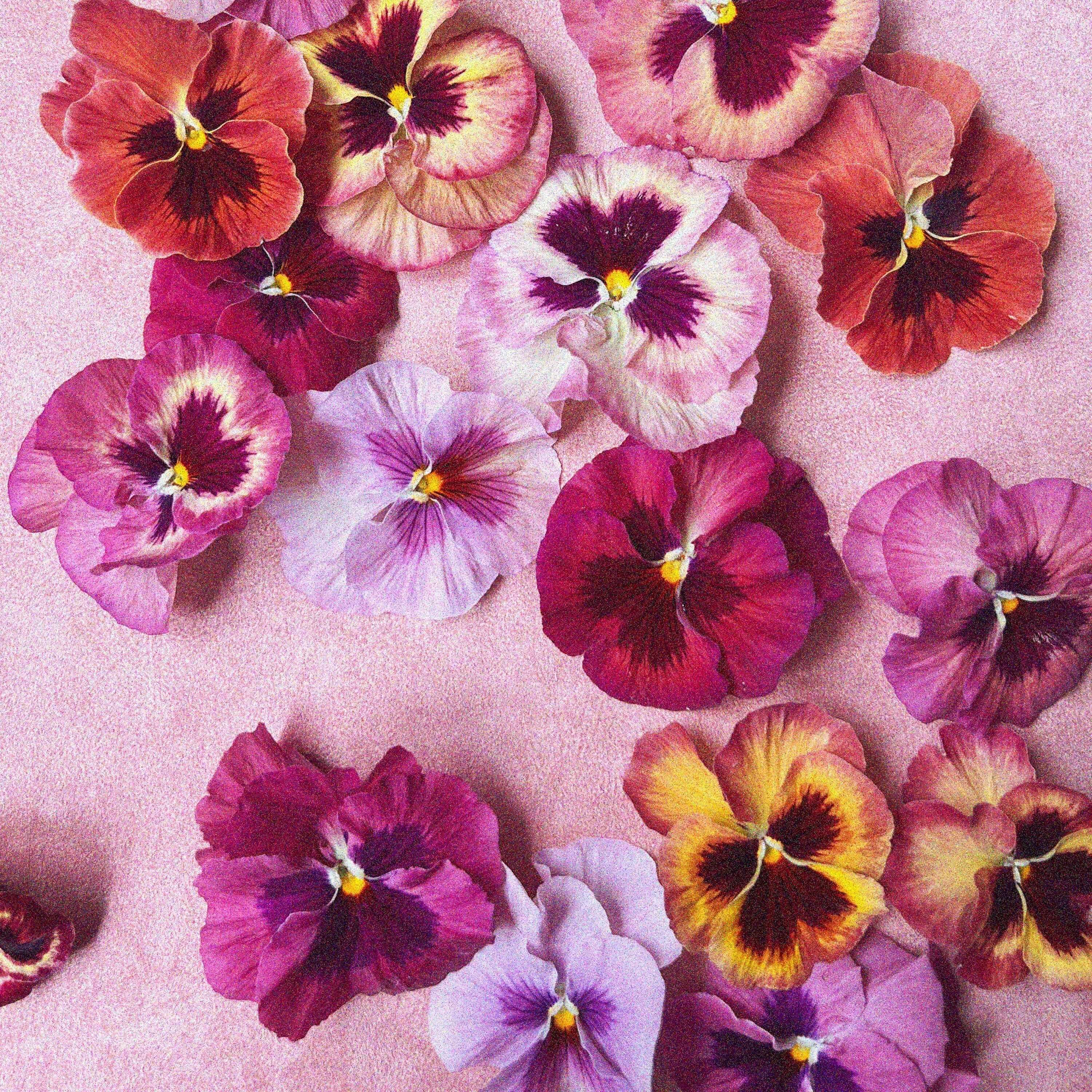 Supporting Perimenopause and Menopause at Work