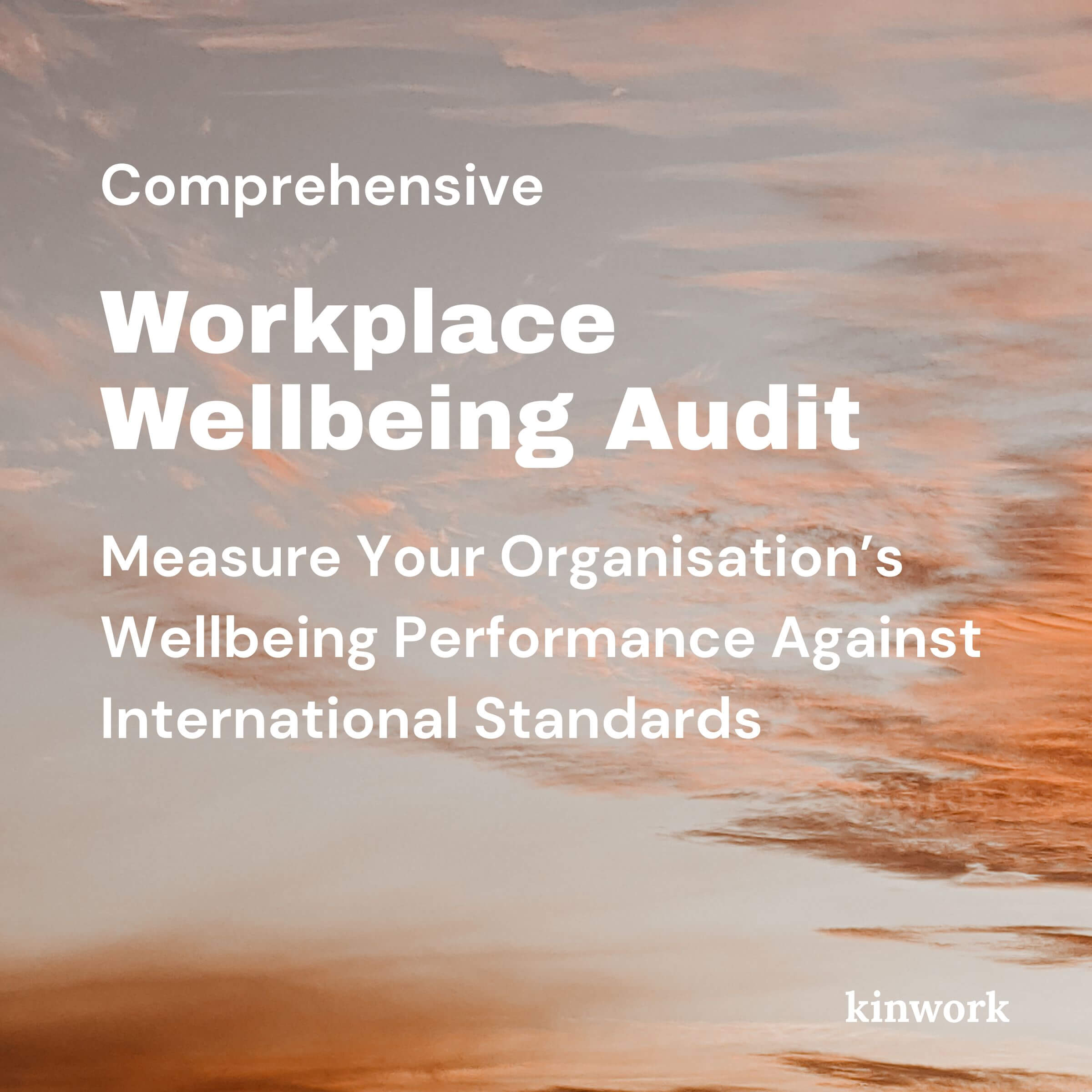 Workplace Wellbeing Audit - Comprehensive