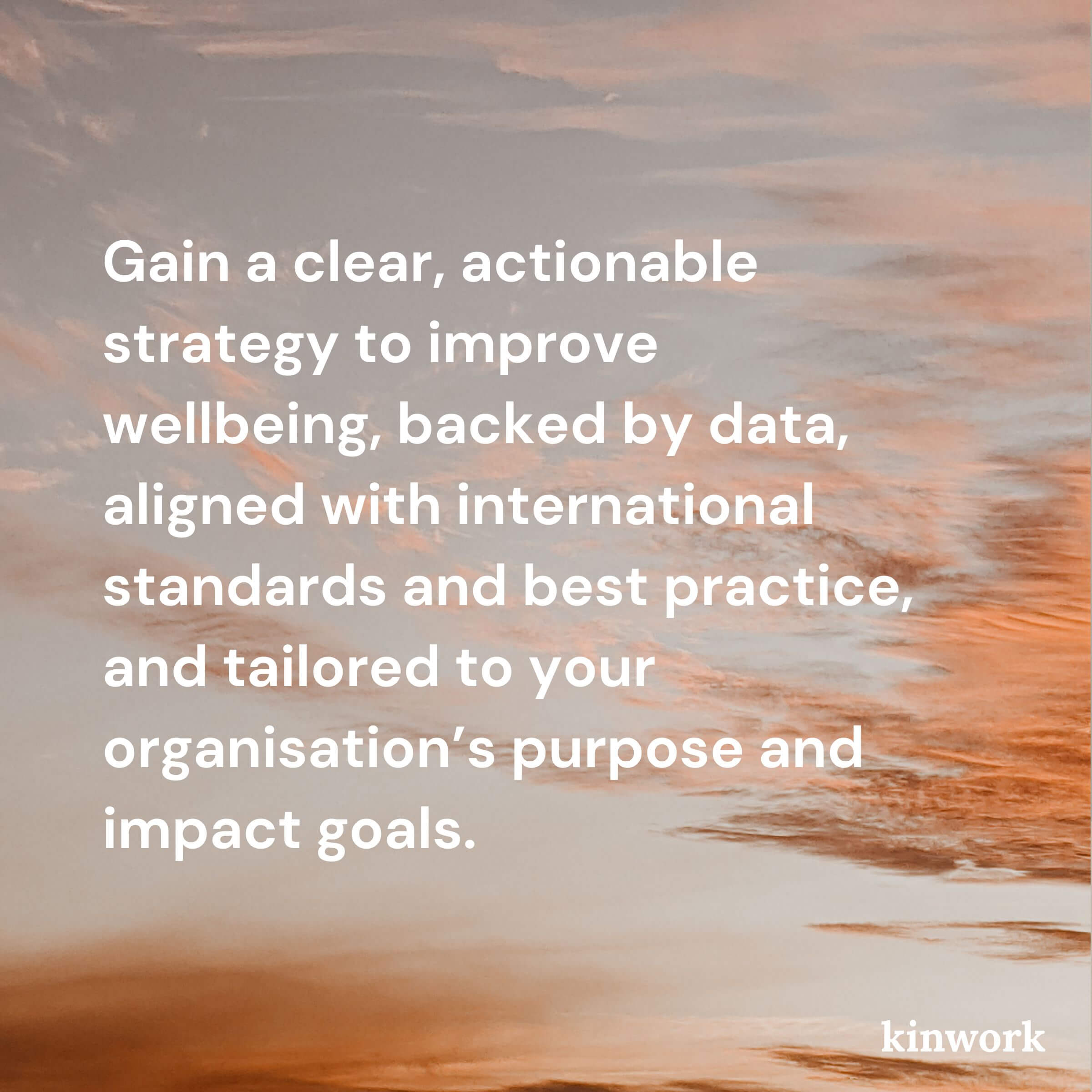 Workplace Wellbeing Audit - Comprehensive