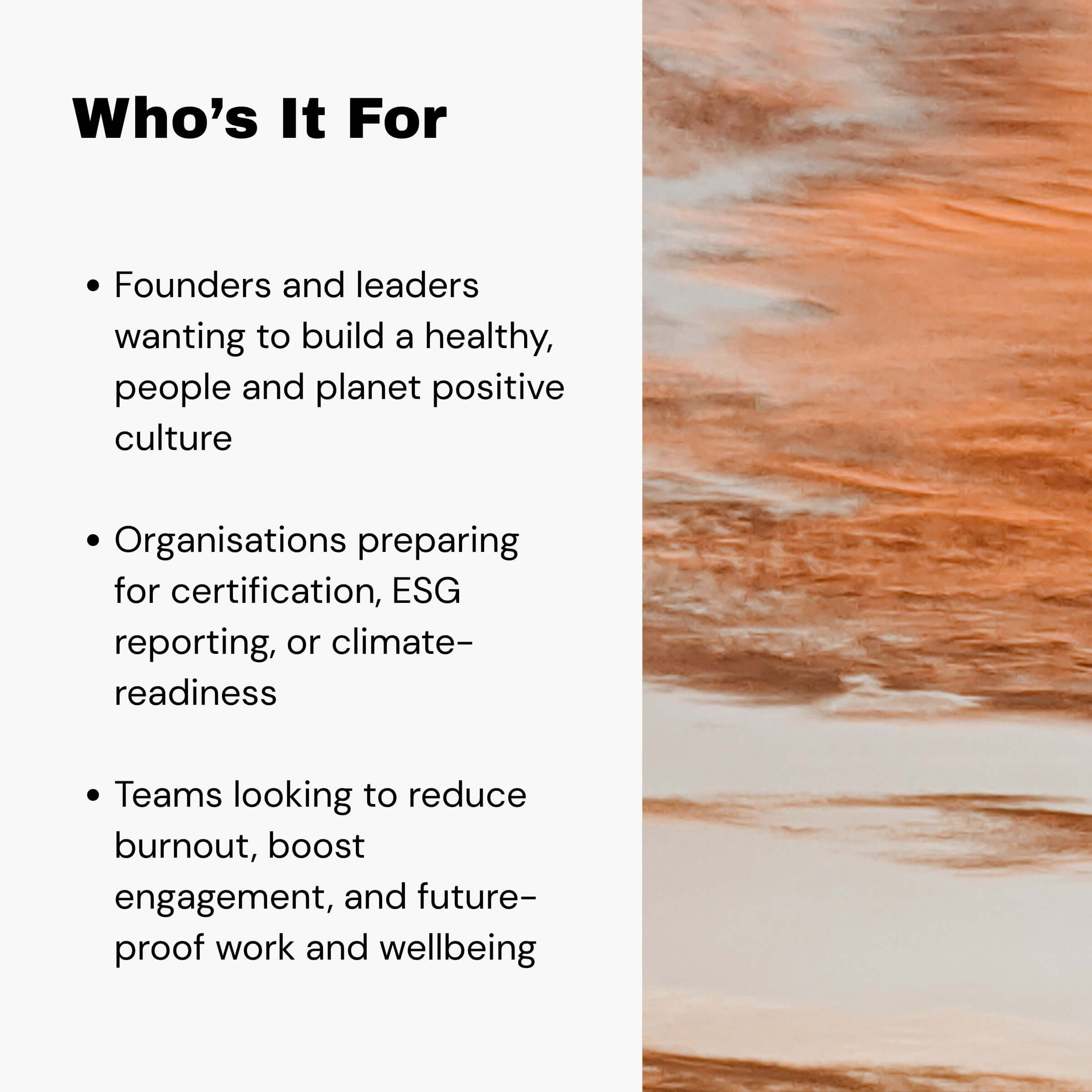 Workplace Wellbeing Audit - Comprehensive