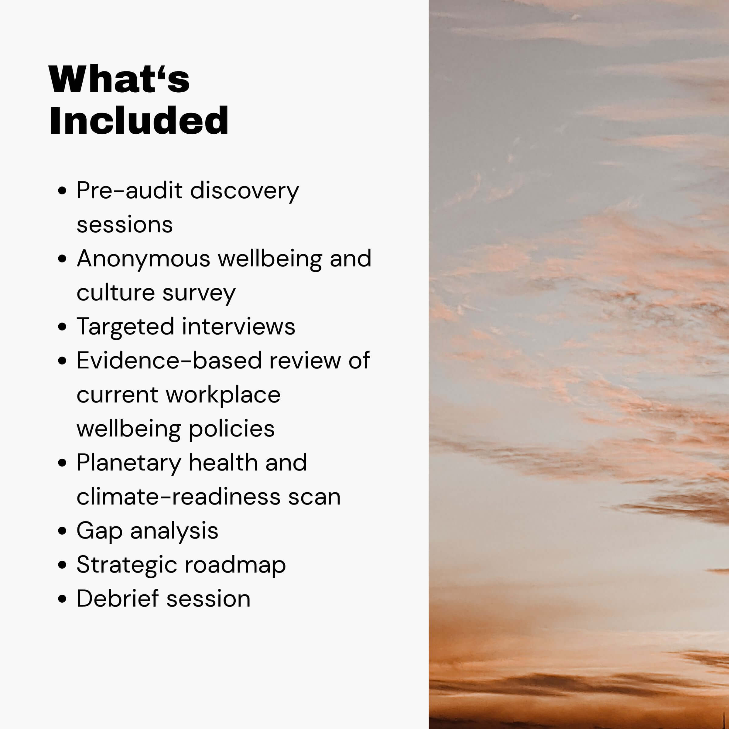 Workplace Wellbeing Audit - Comprehensive