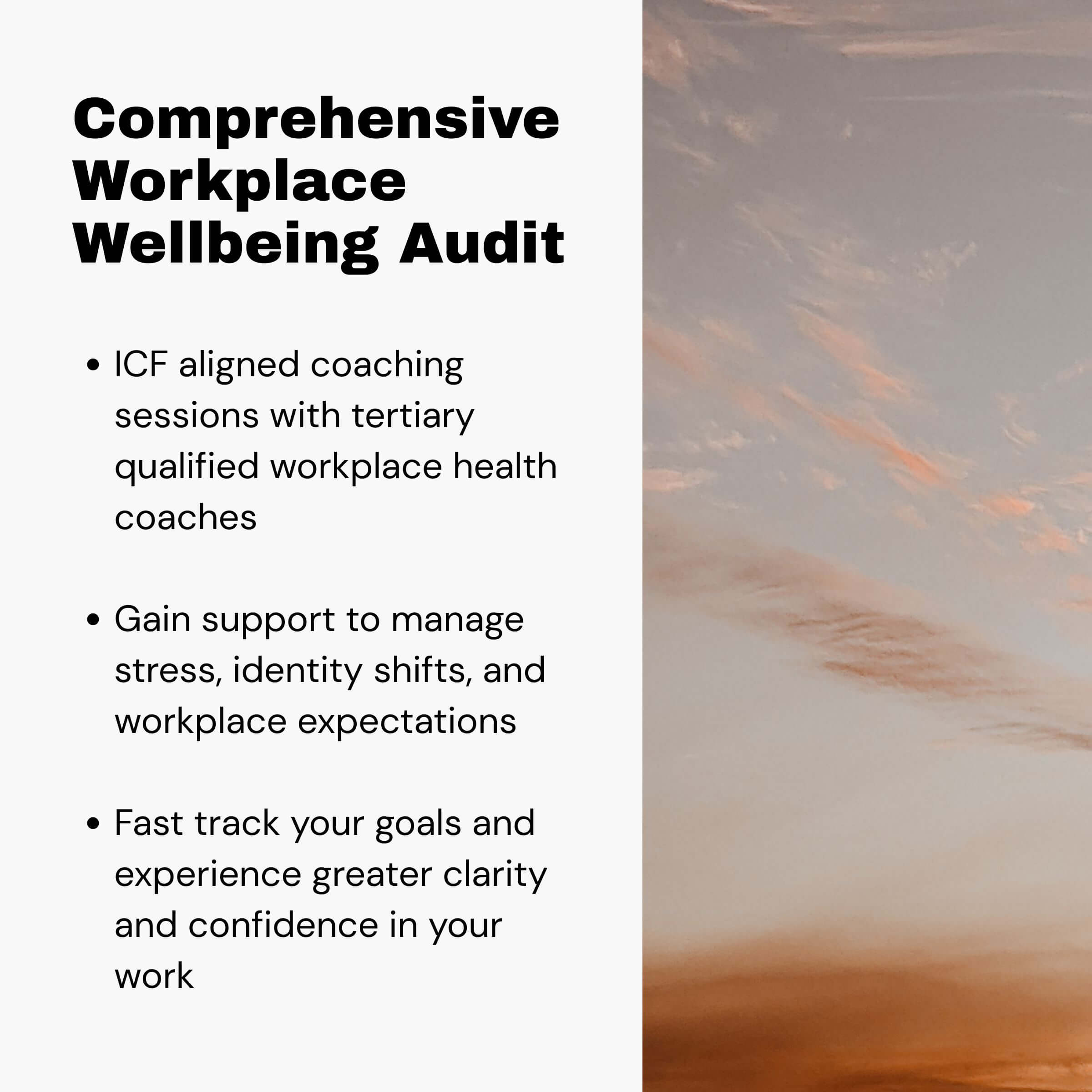 Workplace Wellbeing Audit - Comprehensive