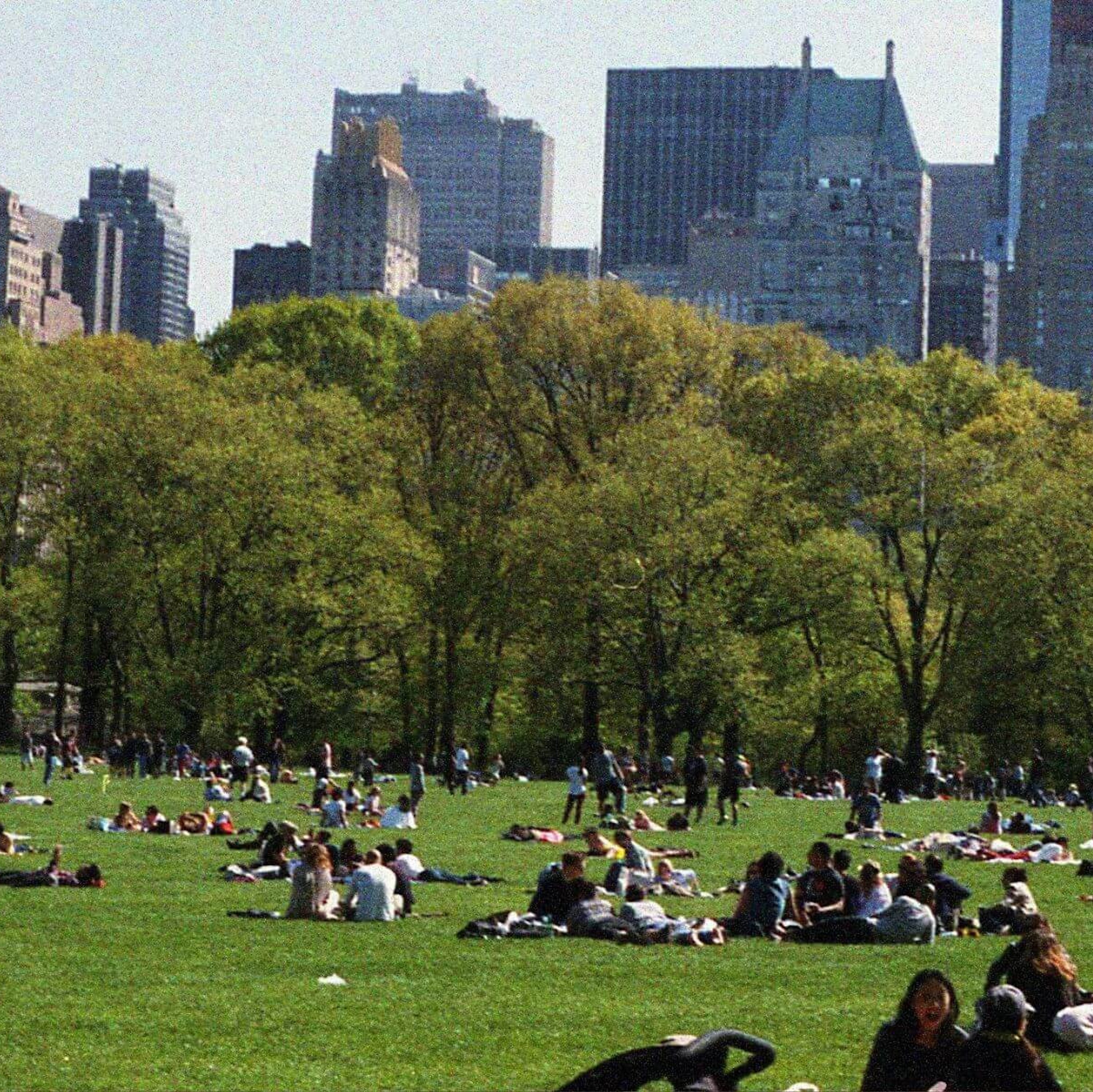 Health Equity at Work: Lessons from the WHO’s 2025 World Report