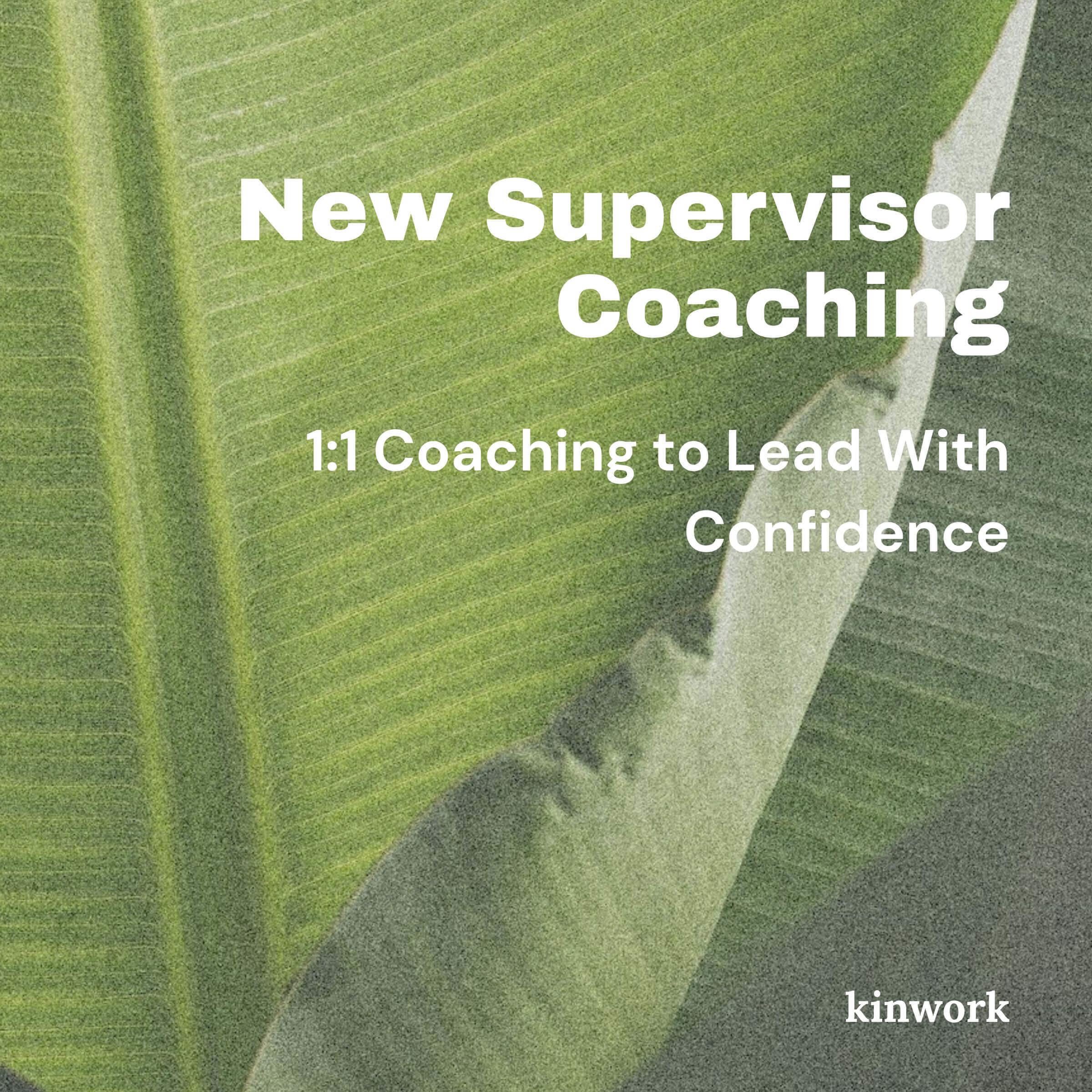New Supervisor Coaching: 1:1 Coaching to Lead with Confidence